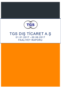 Faaliyet Raporu - TGS Dış Ticaret