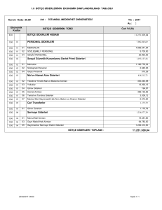 1.9 BÜTÇE GİDERLERİNİN EKONOMİK SINIFLANDIRILMASI