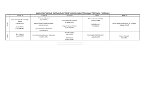 kamu politikası ve işletmeciliği tezsiz yüksek lisans programı vize