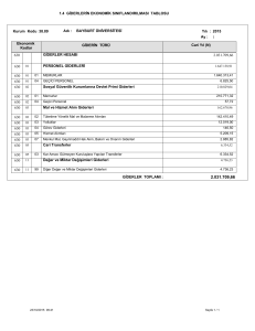 giderlerin ekonomik sınıflandırılması tablosu