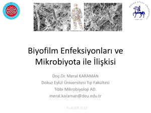 Biyofilm Enfeksiyonları ve Mikrobiyota ile İlişkisi