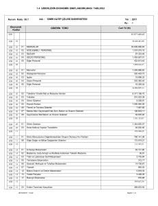 bütçe giderlerinin ekonomik sınıflandırılması tablosu