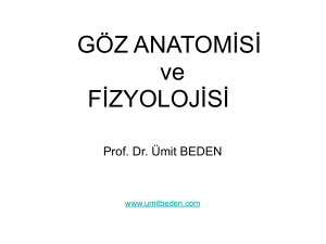 1.GÖZ ANATOMİSİ - Prof. Dr. Ümit Beden