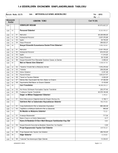 1.4 giderlerin ekonomik sınıflandırılması tablosu