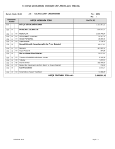 1.9 BÜTÇE GİDERLERİNİN EKONOMİK SINIFLANDIRILMASI