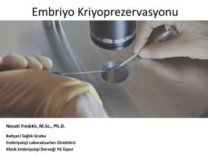 Embriyo Kriyoprezervasyonu