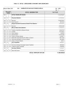 TABLO 1.9 BÜTÇE GİDERLERİNİN EKONOMİK