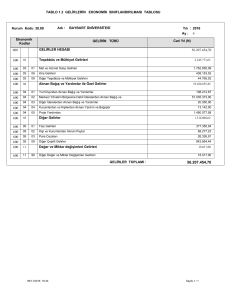 gelirlerin ekonomik sınıflandırılması tablosu