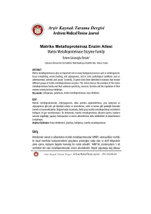 Arşiv Kaynak Tarama Dergisi Matrix Metalloproteinase