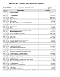 1.4 giderlerin ekonomik sınıflandırılması tablosu