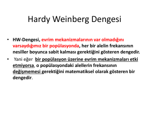 Hardy Weinberg Dengesi