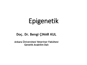 Epigenetik - Ankara Üniversitesi Açık Ders Malzemeleri