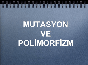 Mutasyon Polimorfizm Mutasyon