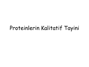8. Proteinlerin Kalitatif Tayini