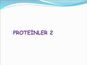 Proteinler 2 Kaynak
