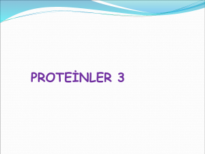 Proteinler 3 Kaynak
