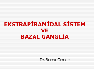 ekstrapiramidal sistem ve bazal ganglia