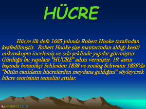 HÜCRE - Dersimiz.com