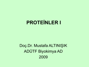 07 Proteinler I - mustafaaltinisik.org.uk