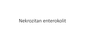 Nekrozitan enterokolit