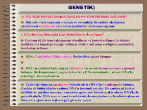 DNA - gumusgozefen