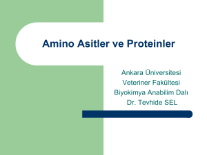 Amino Asitler ve Proteinler - Ankara Üniversitesi Açık Ders