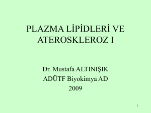 Plazma Lipidleri ve Ateroskleroz I