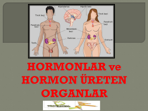 HORMONLAR ve HORMON ÜRETEN ORGANLAR