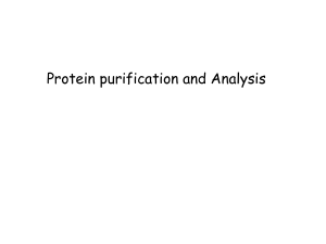 Proteinler - mustafaaltinisik.org.uk
