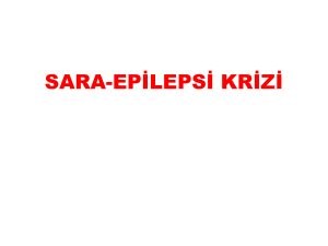 sara-epilepsi