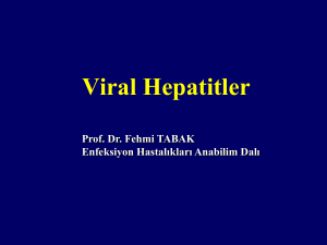 Viralhepatitler(3s  n  f)