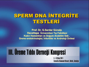 sperm dna integrite testleri