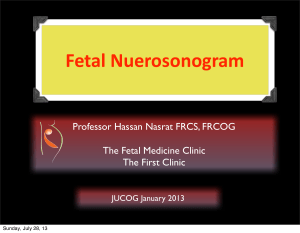 fetalneurosonogram