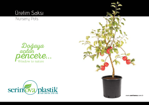 uretim-saksi-2252-d