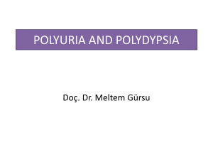 Polidipsi ve poliüri-Döenm-4-Meltem Gürsu (4)