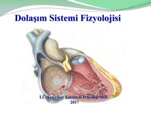 kardiyovaskuler-sistem-fizyolojisi