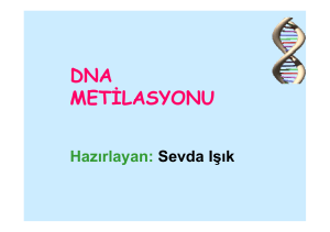 dna metilasyonu epigenetik