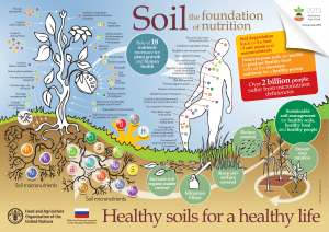 Soil nutrition