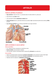 Anatomi ARTERLER tus notu (1)