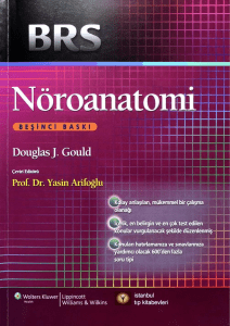 BRS Nöroanatomi (Prof. Dr. Yasin Arifoğlu)