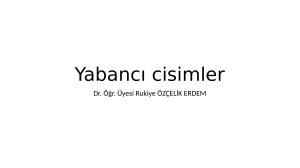 YABANCI CİSİMLER 2024