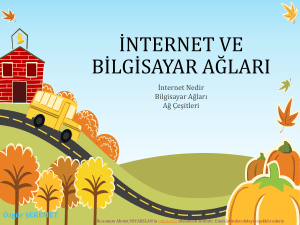 3.1.E- İnternet ve Bilgisayar Ağları