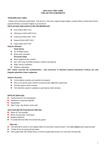 Kpss-Tarih-Özet