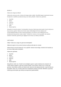 Adenovirüs Salgını: Belirtiler, Bulaşma ve Tedavi