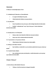 Triklosan: Kullanım Alanları, Riskleri ve Böbrek Etkileri