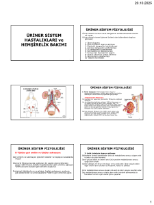 Üriner Sistem Fizyolojisi, Hastalıkları ve Hemşirelik Bakımı