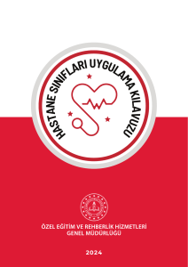 Hastane Sınıfları Uygulama Kılavuzu 2024