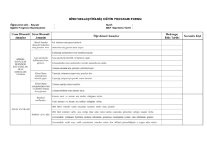 BEP Formu: Görsel Sanatlar Dersi