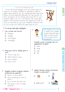 4. Sınıf T&uuml;rk&ccedil;e Testi