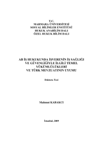 AB iş hukukunda işverenin iş sağlığı ve g&uuml;venliği